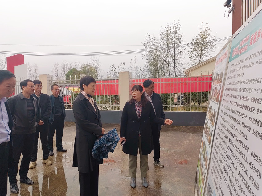 美丽乡村建设调研姚李红星村.jpg