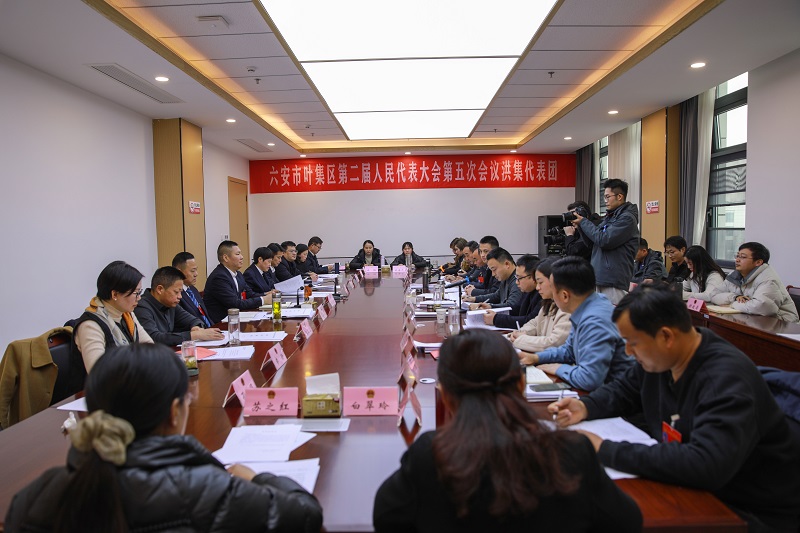 08 区二届人大五次会议期间，洪集镇代表团在审议相关报告.JPG