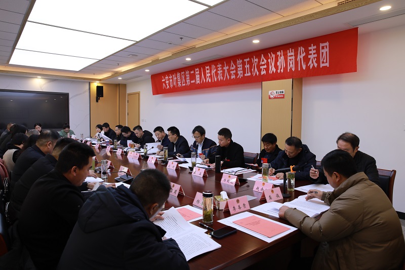 10 区二届人大五次会议期间，孙岗乡代表团在审议相关报告.JPG