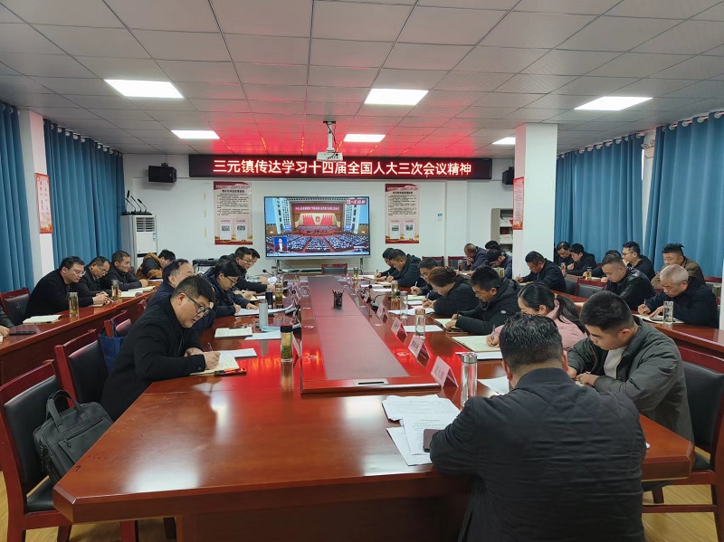 叶集区三元镇传达学习十四届全国人大三次会议精神1.jpg