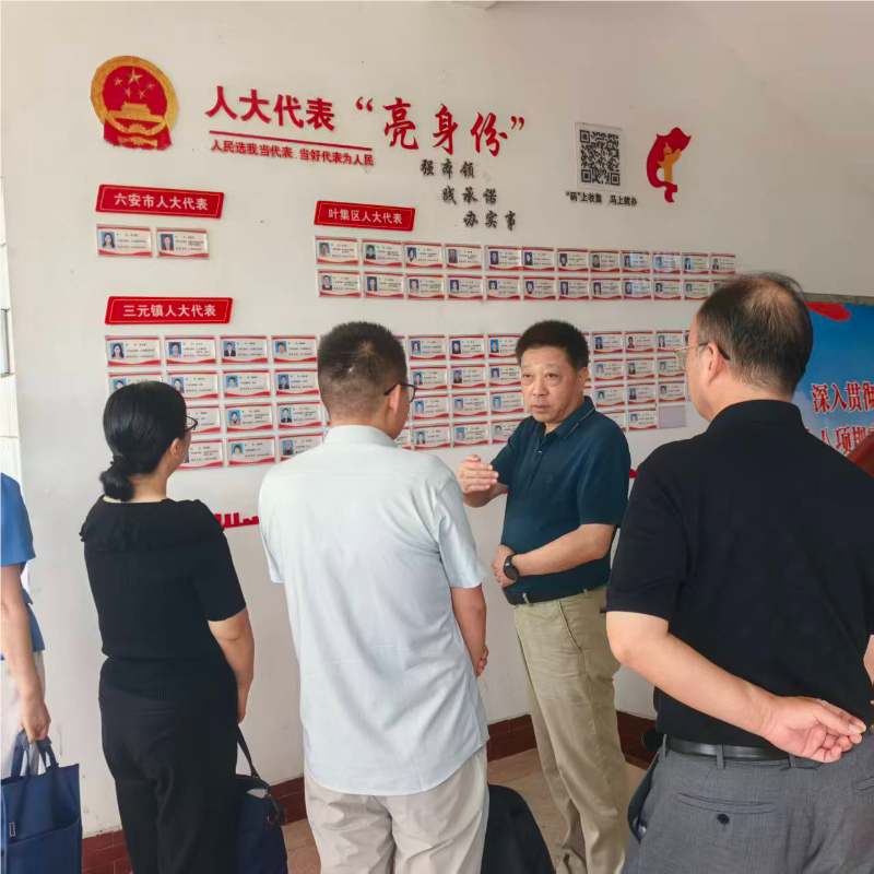 区人大常委会开展全过程人民民主基层实践工作调研